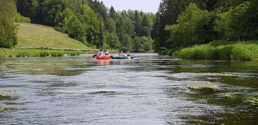 Ferienwohnung Wildgatter Grafenwiesen Zewnętrze zdjęcie